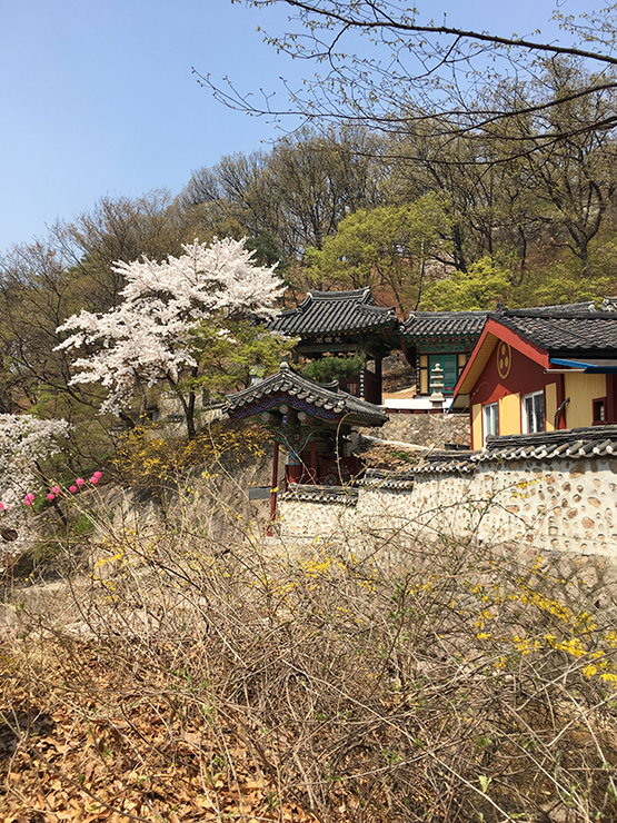 백사실 현통사