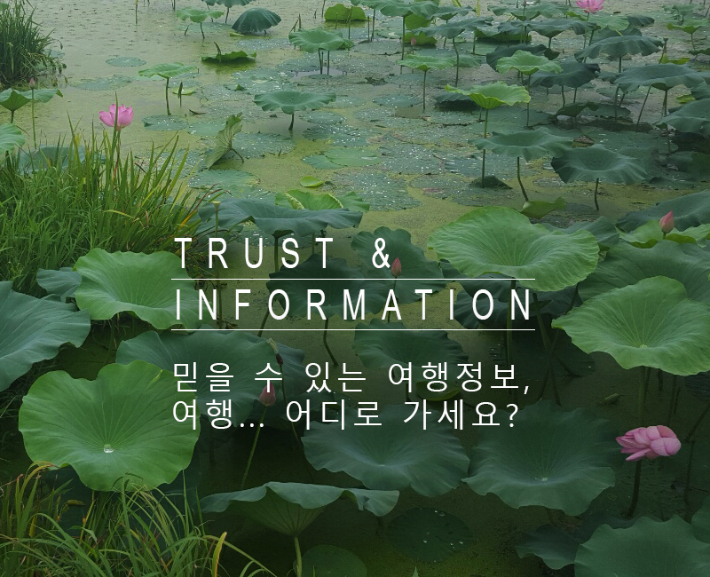 여행정보